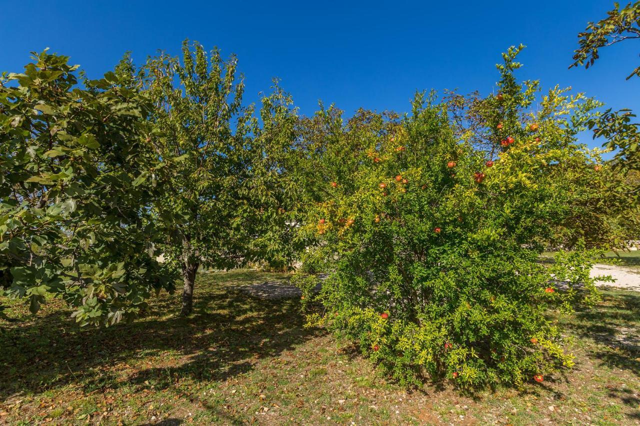 Holiday House Trsja Villa Linardići Kültér fotó